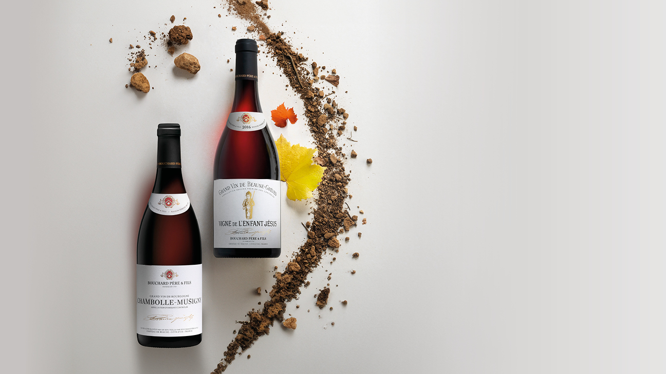 Bouchard Père & Fils Vertical Tasting Case - Article - Sommelier